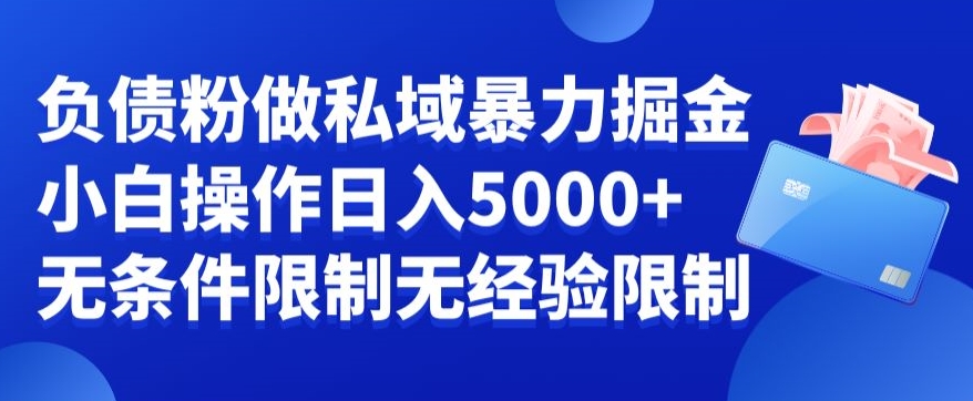 负债粉私域暴力掘金，小白操作入5000，无经验限制，无条件限制【揭秘】